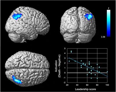 Social-coalitional trait is related to coping capacity with mortality threat: association with leadership and a reduced parietal response to mortality salience